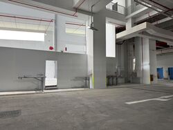 Ct Foodnex (D25), Factory #498352421
